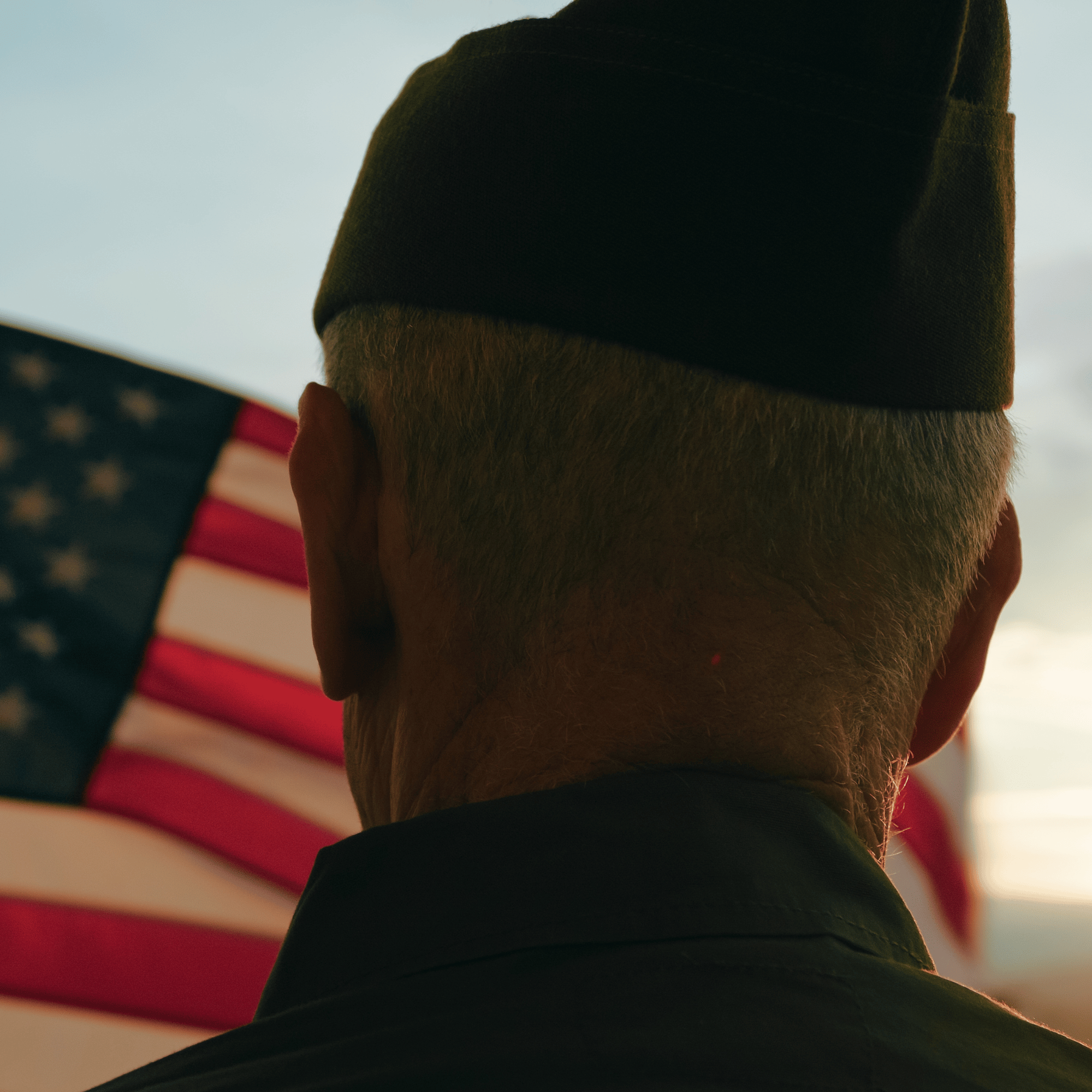 U.S. Department of Veterans Affairs: Geriatrics and Extended Care 